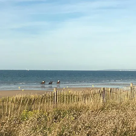 Grande Maison Proche Des Plages Du Débarquement Hébergement de vacances *
